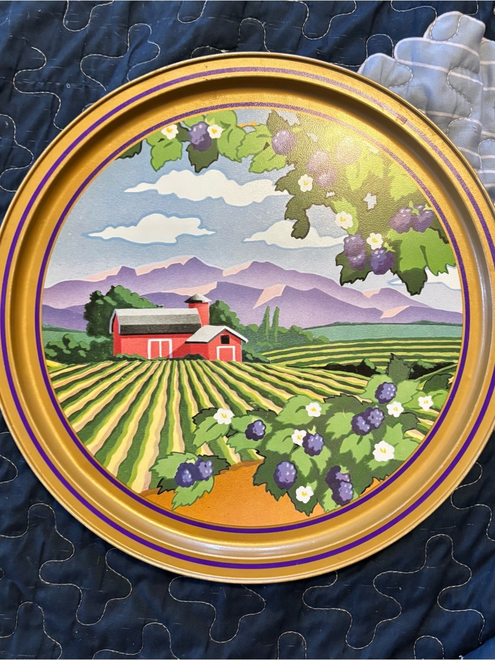 Beautiful Farmhouse metal tray  12”